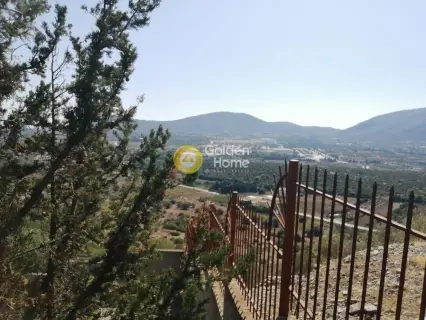 Μονοκατοικία 490τ.μ. προς πώληση φωτογραφία 25