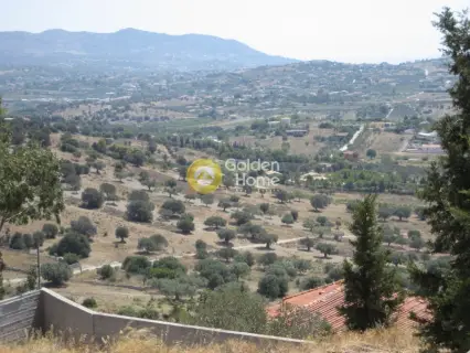 Μονοκατοικία 490τ.μ. προς πώληση φωτογραφία 12