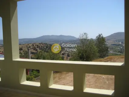 Μονοκατοικία 490τ.μ. προς πώληση φωτογραφία 13