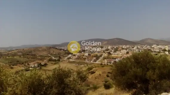 Μονοκατοικία 490τ.μ. προς πώληση φωτογραφία 9