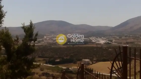 Μονοκατοικία 490τ.μ. προς πώληση φωτογραφία 31