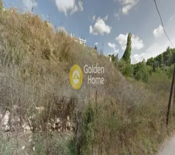 Οικιστικό 3000τ.μ. προς πώληση φωτογραφία 4