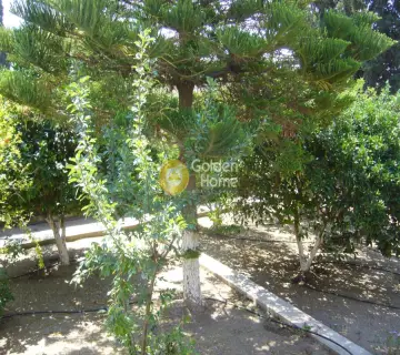 Μονοκατοικία 205τ.μ. προς πώληση φωτογραφία 4