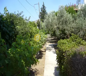 Μονοκατοικία 205τ.μ. προς πώληση φωτογραφία 7