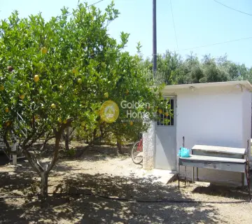 Μονοκατοικία 205τ.μ. προς πώληση φωτογραφία 20