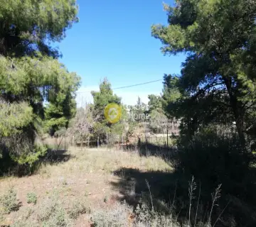 Residential 272m<sup>2</sup> for sale photo 9