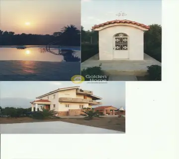 Golden Home Property Image