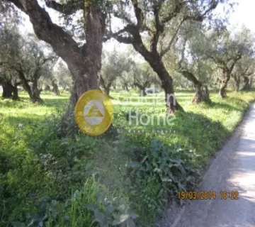Residential 2500m<sup>2</sup> for sale photo 2