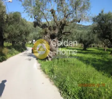 Residential 2500m<sup>2</sup> for sale photo 3