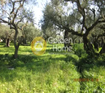 Residential 2500m<sup>2</sup> for sale photo 5