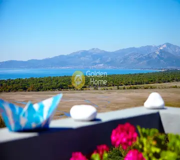 Golden Home Property Image