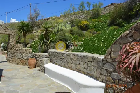 Golden Home Property Image