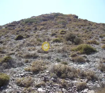 Parcel 8626m<sup>2</sup> for sale photo 13