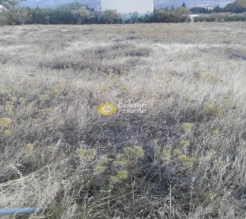 Residential 2100m<sup>2</sup> for sale photo 4
