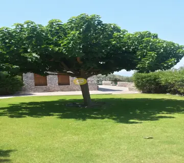 Μονοκατοικία 780τ.μ. προς πώληση φωτογραφία 11