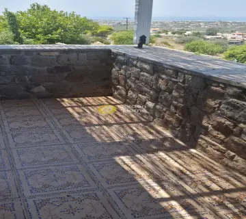 Μονοκατοικία 780τ.μ. προς πώληση φωτογραφία 12