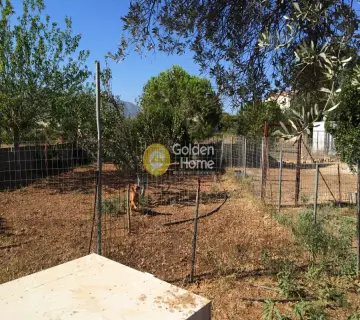 Residential 1700m<sup>2</sup> for sale photo 5