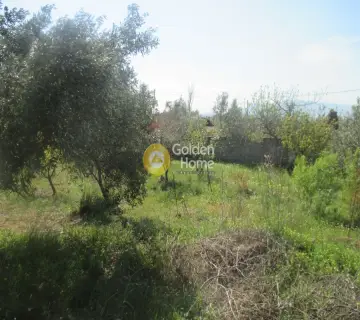 Οικιστικό 230τ.μ. προς πώληση φωτογραφία 1