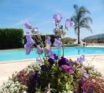 Villa 300m<sup>2</sup> for rent photo 41