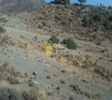 Parcel 5173m<sup>2</sup> for sale photo 5