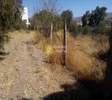 Οικιστικό 550τ.μ. προς πώληση φωτογραφία 4