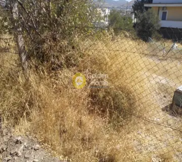 Οικιστικό 550τ.μ. προς πώληση φωτογραφία 7
