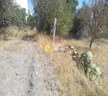 Οικιστικό 550τ.μ. προς πώληση φωτογραφία 6