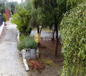 Οικιστικό 1548τ.μ. προς πώληση φωτογραφία 4