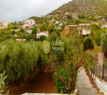 Οικιστικό 1548τ.μ. προς πώληση φωτογραφία 3