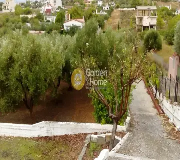 Οικιστικό 1548τ.μ. προς πώληση φωτογραφία 2