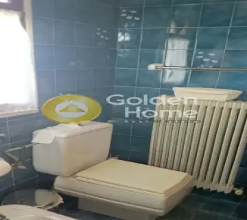 Μονοκατοικία 240τ.μ. προς πώληση φωτογραφία 42