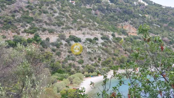 Residential 1185m<sup>2</sup> for sale photo 9