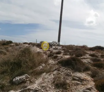 Area 14260m<sup>2</sup> for sale photo 4