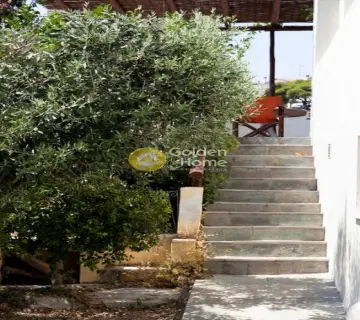 Μονοκατοικία 90τ.μ. προς ενοικίαση φωτογραφία 16