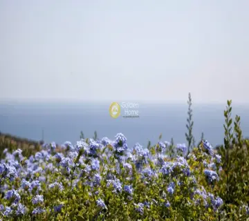 Μονοκατοικία 90τ.μ. προς ενοικίαση φωτογραφία 13