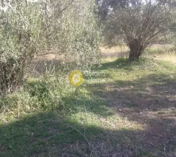 Residential 828m<sup>2</sup> for sale photo 2