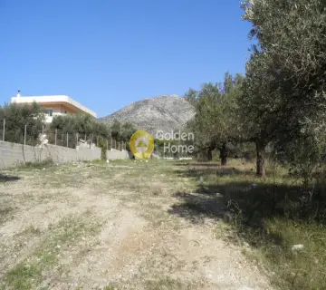 Αγροτεμάχιο 1500τ.μ. προς πώληση φωτογραφία 1