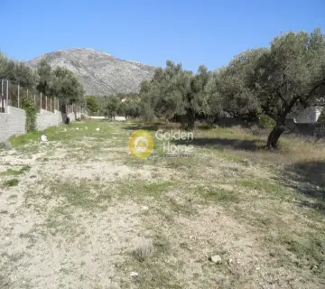 Αγροτεμάχιο 1500τ.μ. προς πώληση φωτογραφία 3