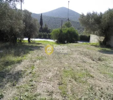 Αγροτεμάχιο 1500τ.μ. προς πώληση φωτογραφία 4