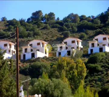 Residence complex 840m<sup>2</sup> for sale photo 4