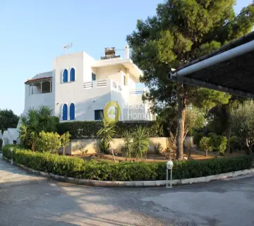 Μονοκατοικία 400τ.μ. προς πώληση φωτογραφία 12
