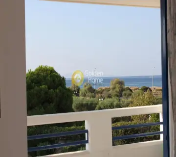 Μονοκατοικία 400τ.μ. προς πώληση φωτογραφία 3