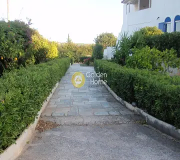 Μονοκατοικία 400τ.μ. προς πώληση φωτογραφία 14