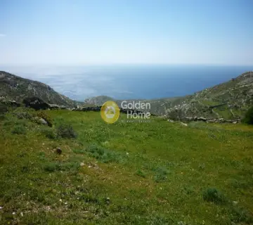 Area 5700m<sup>2</sup> for sale photo 3