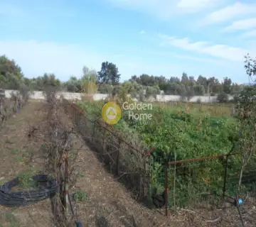 Αγροτεμάχιο 5795τ.μ. προς πώληση φωτογραφία 1