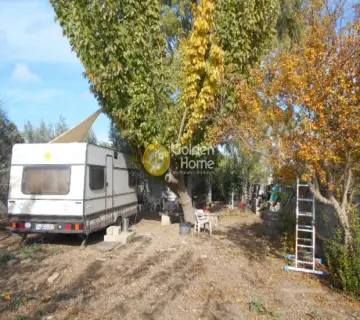 Αγροτεμάχιο 5795τ.μ. προς πώληση φωτογραφία 3