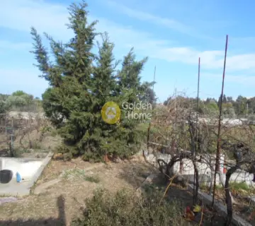 Αγροτεμάχιο 5795τ.μ. προς πώληση φωτογραφία 5