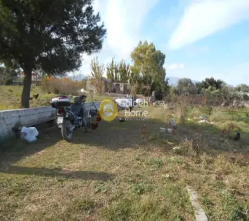 Αγροτεμάχιο 5795τ.μ. προς πώληση φωτογραφία 6