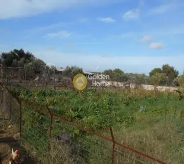 Αγροτεμάχιο 5795τ.μ. προς πώληση φωτογραφία 7