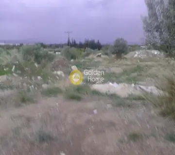 Residential 4600m<sup>2</sup> for sale photo 3
